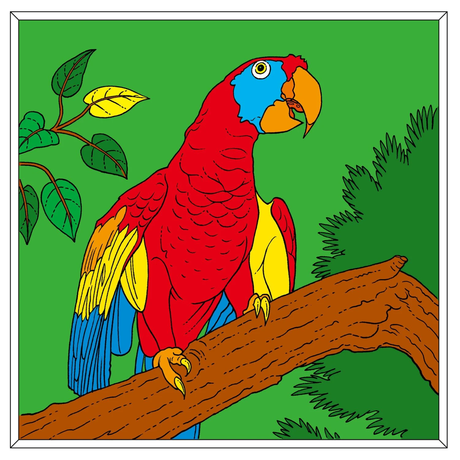 Kleurboek Colouring Book 7 Kleurboek Colouring Book - Afbeelding 5