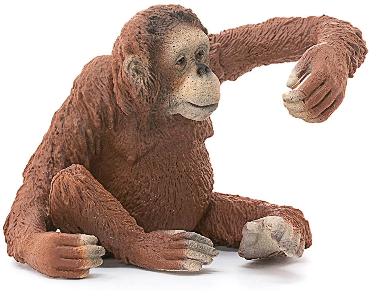 Schleich 14775 Orang Oetan Vrouwtje WildLife 4 Schleich 14775 Orang Oetan Vrouwtje WildLife - Afbeelding 2