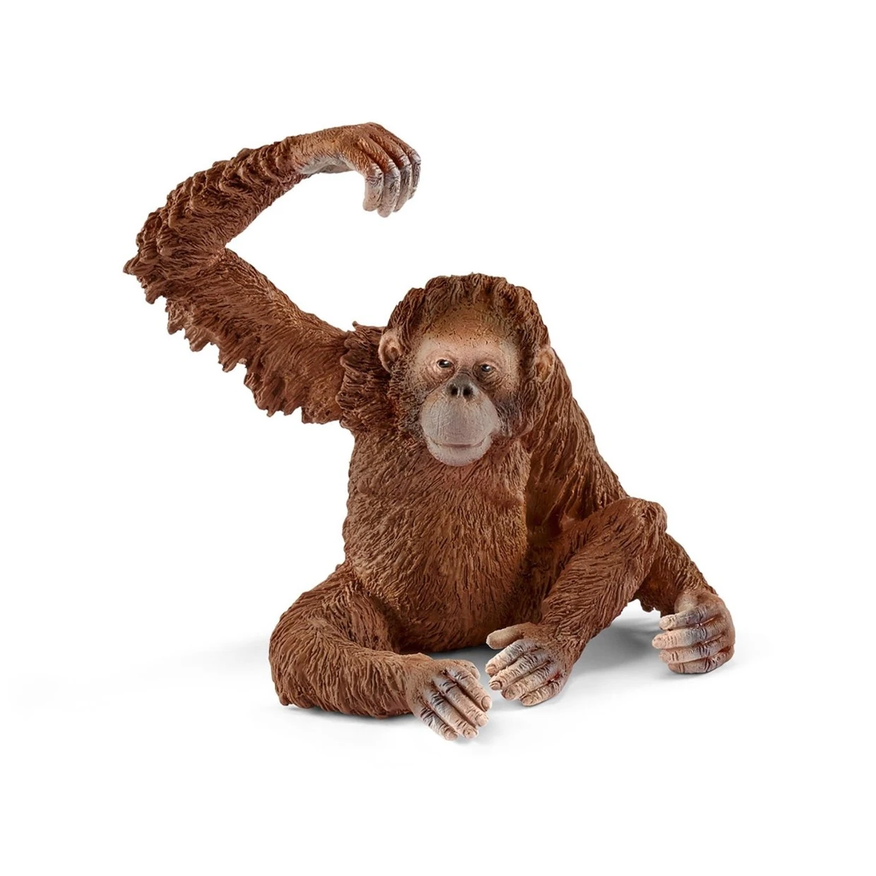 Schleich 14775 Orang Oetan Vrouwtje WildLife 3 Schleich 14775 Orang Oetan Vrouwtje WildLife