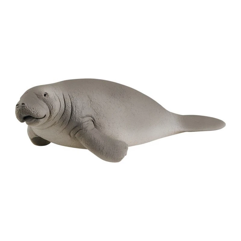 Schleich 14839 Zeekoe Wildlife 3 Schleich 14839 Zeekoe Wildlife